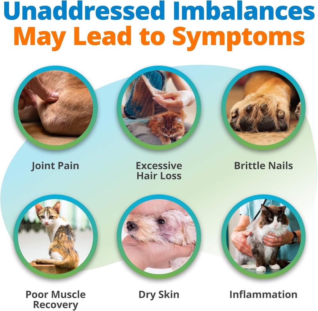 5strands-pet-nutritional-imbalance-test--5.jpg