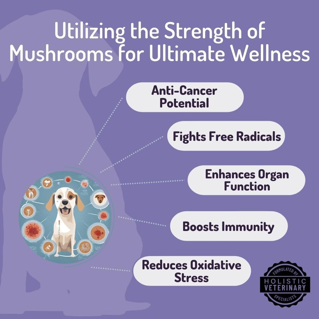 anp-enhance-your-dogs-health-with-mushro-4.jpg