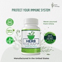 sea-moss-capsules-100-pack---irish-sea-m-4.jpg
