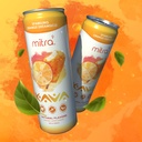 mitra-9-botanical-beverages---orange-dre-4.jpg