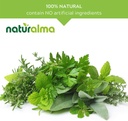 naturalma-shepherds-purse-capsella-bursa-4.jpg