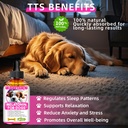 melatonin-for-dogs-anxiety-relief-dog-me-2.jpg