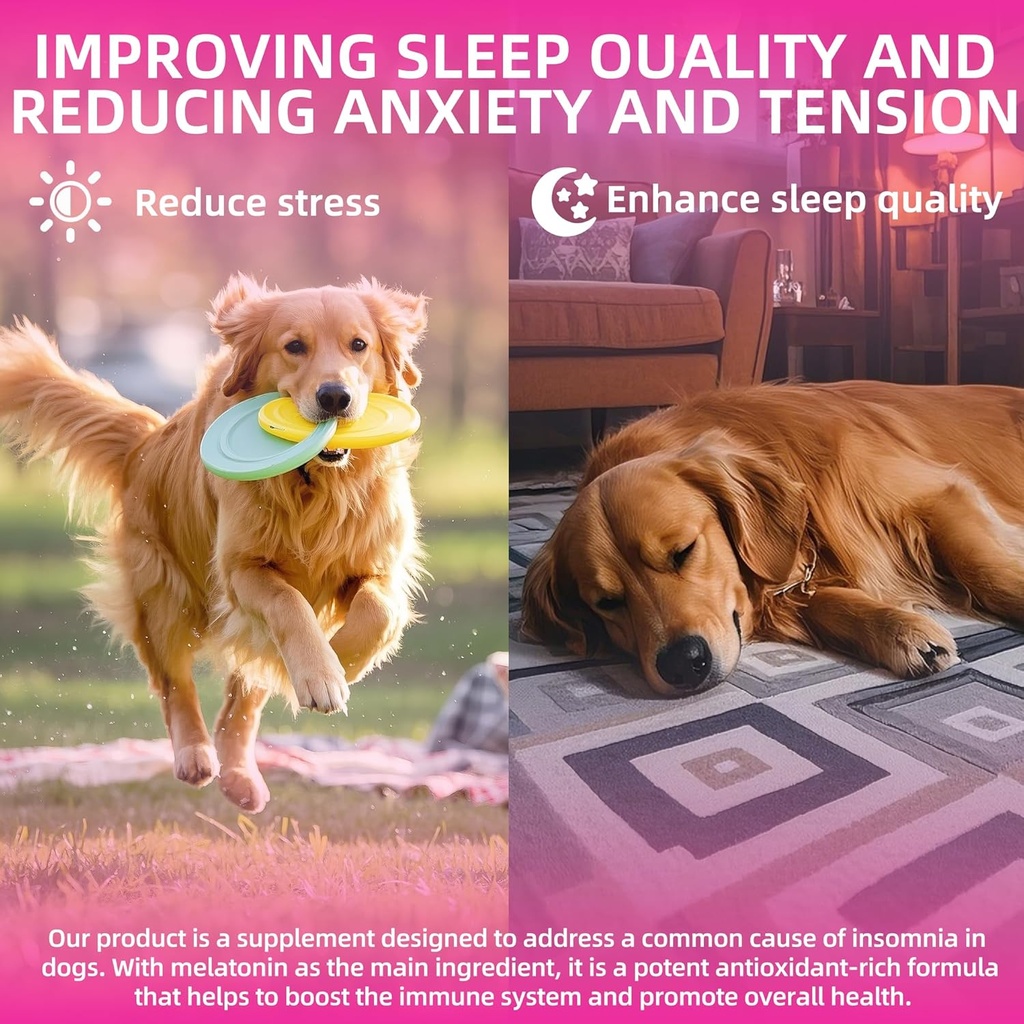 melatonin-for-dogs-anxiety-relief-dog-me-4.jpg