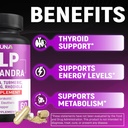 kelp-capsules-with-kelp-schisandra-ashwa-5.jpg
