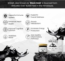 shilajit-pure-himalayan-organic-shilajit-2.jpg