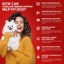 dog-lumps-and-bumps-supplement-lipoma-tr-3.jpg