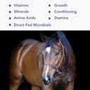 mega-cell-10lb-balanced-vitamin-mineral--2.jpg