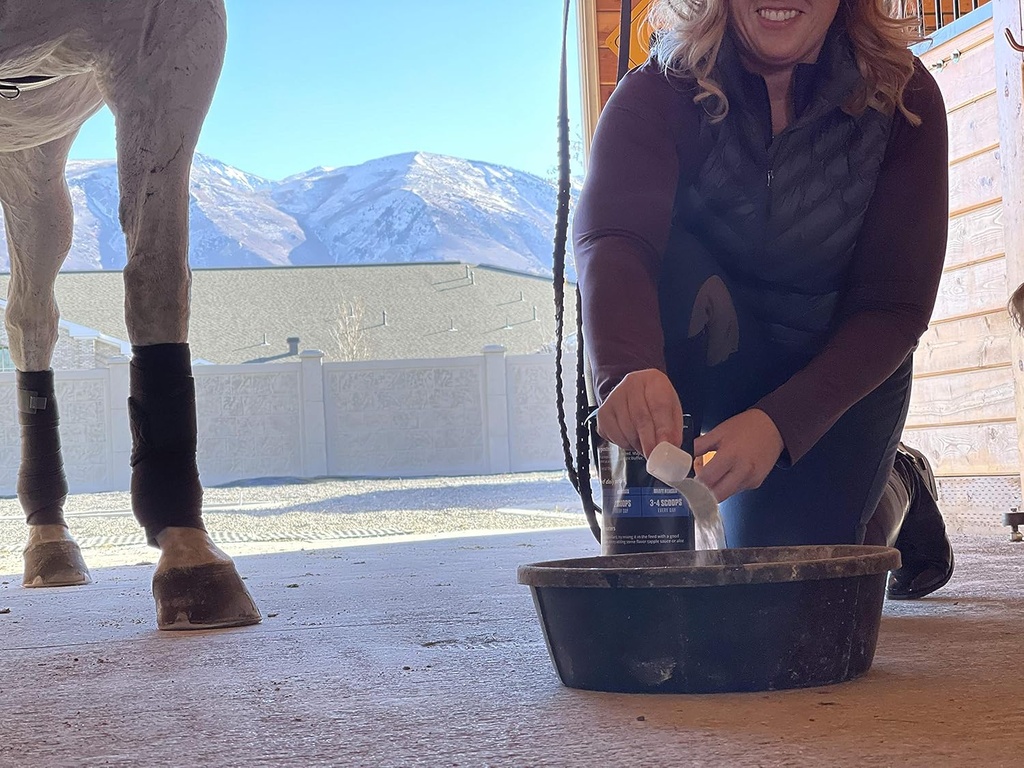 gastric-support-supplement-for-horses-re-4.jpg