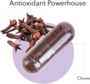 kroeger-herb-cloves-natural-antioxidant--2.jpg