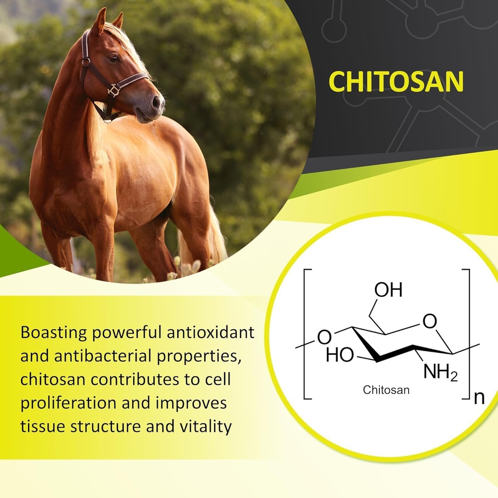 gastromend-xc-100-natural-equine-stomach-2.jpg