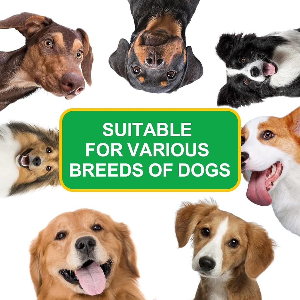 antibiotics-for-dogsdog-multivitamindog--2.jpg