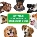 antibiotics-for-dogsdog-multivitamindog--2.jpg