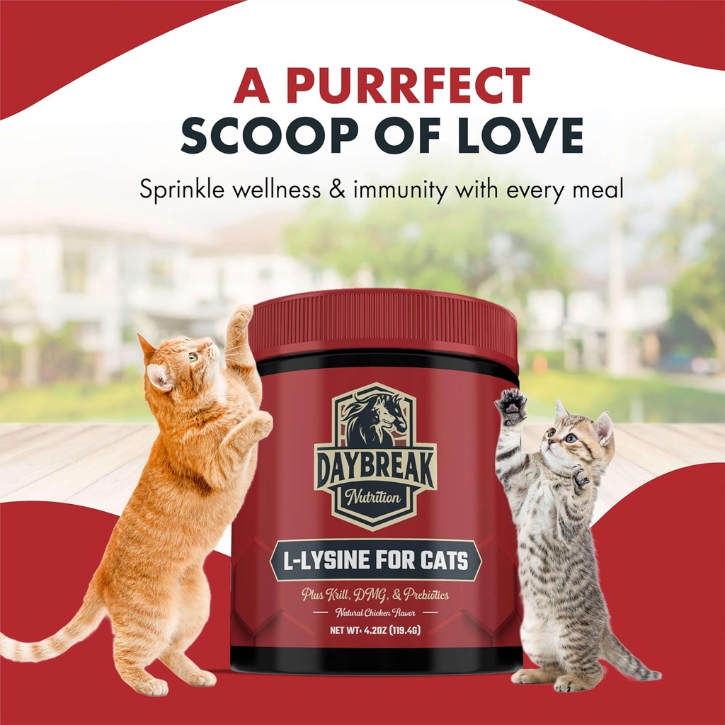 l-lysine-for-cats-and-kittens---900-mg-l-6.jpg