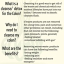 complete-colon-detox-cleanse-set-230-veg-4.jpg