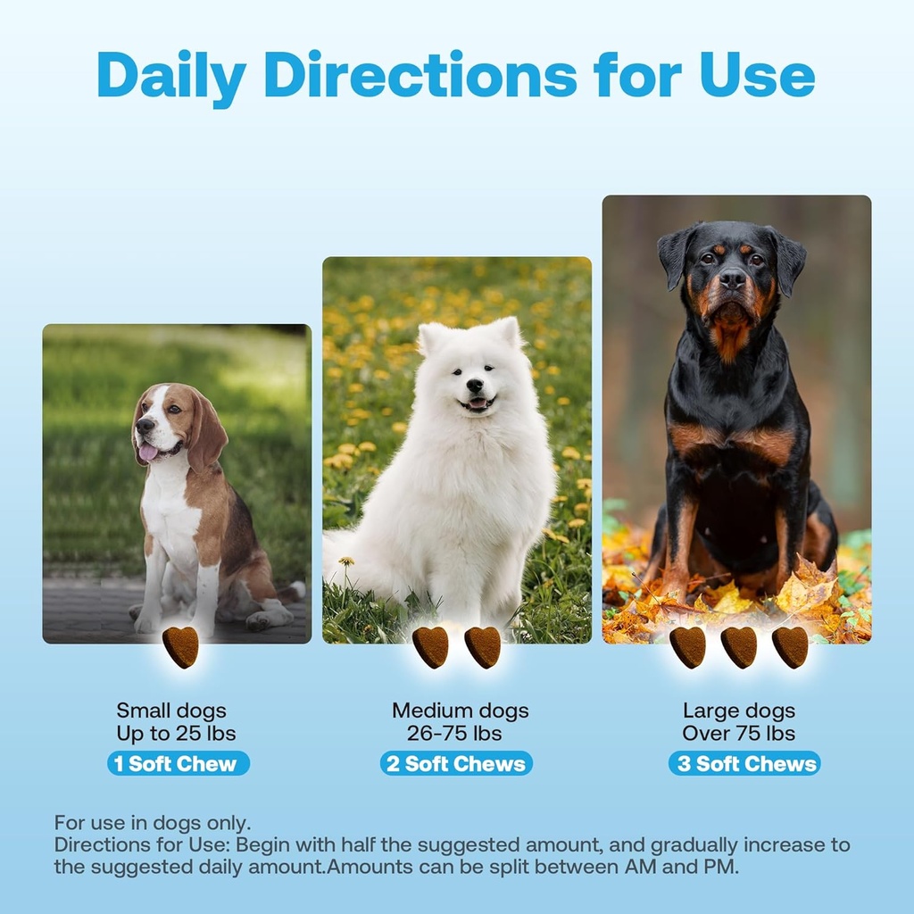 probiotics-for-dogs-with-digestive-enzym-6.jpg