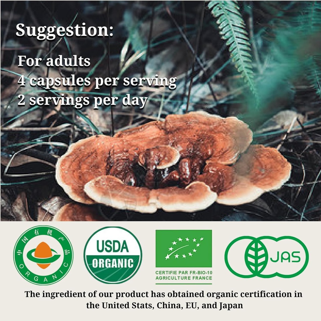 cheezhenghimalaya-reishi-mushroom-organi-5.jpg