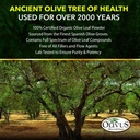 oliveleafmax-olive-leaf-extract-40-oleur-5.jpg