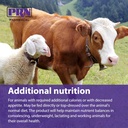 prn-pharmacal-stat---high-calorie-nutrit-6.jpg