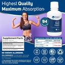 trace-minerals-gut-health---support-for--2.jpg