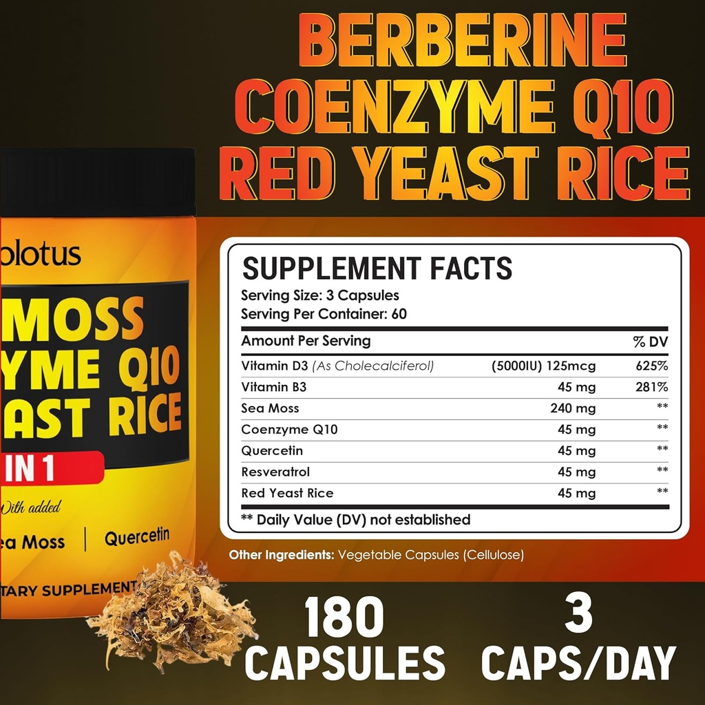 zolotus-7-in-1-sea-moss-supplement-red-y-2.jpg