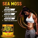 zolotus-7-in-1-sea-moss-supplement-red-y-5.jpg