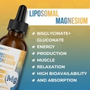 high-strength-liposomal-magnesium-drops--4.jpg