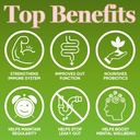 high-potency-gos-prebiotic-fiber-syrup-5-2.jpg