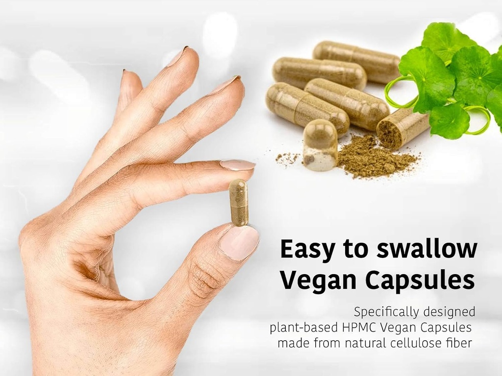 dr-wakdes-karanja-capsules-pongamia-pinn-3.jpg