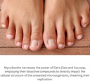 mycosoothe-advanced-hair-skin-nail-immun-6.jpg