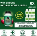 nopal-cactus-capsules---freeze-dried-pri-5.jpg