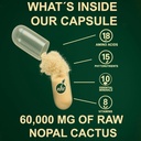 nopal-cactus-capsules---freeze-dried-pri-6.jpg