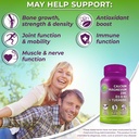 bone-immune-support-bundle---quercetin-5-5.jpg