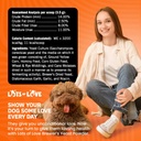 brewers-yeast-powder-for-dogs---garlic-f-5.jpg