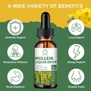mullein-drops-for-lungs-mullein-leaf-ext-2.jpg