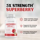 all-in-one-pac-bundle---cranberry-lingon-4.jpg