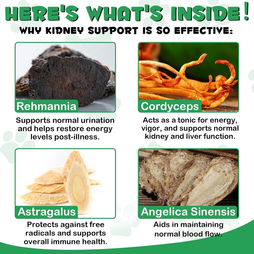 liver-support-for-dogs-liver-and-kidney--2.jpg