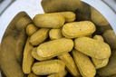 organic-best-lactation-supplement-tablet-2.jpg