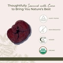 starwest-botanicals-red-reishi-mushrooms-4.jpg