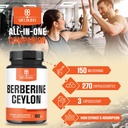 1000mg-berberine-supplement-with-500mg-c-6.jpg