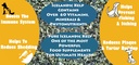 icelandic-kelp-meal-25lbs-6.jpg