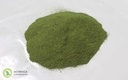 moringa-premium-100-pure-powder-capsules-2.jpg