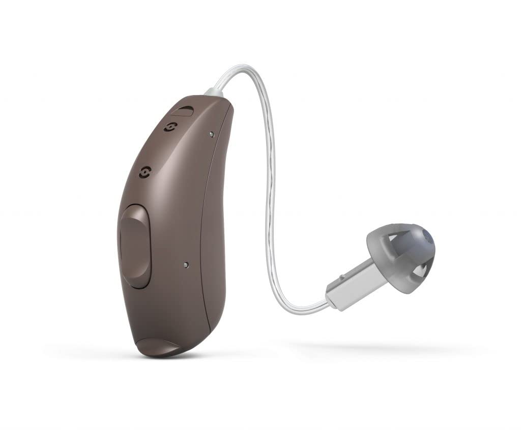 hearing-aid-domes-smoky-gray-tips-ear-pi-3.jpg