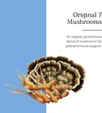 ecelctic-institute-non-gmo-original-7-mu-2.jpg