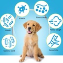 kennel-cough-treatment-for-dogs-dog-kenn-3.jpg