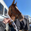 pre-performance-paste-for-horses---all-n-3.jpg