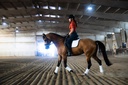 pre-performance-paste-for-horses---all-n-4.jpg