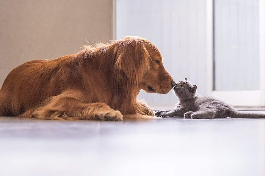 veterinarian-approved-super-pet-nutritio-6.jpg
