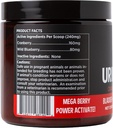 super-snouts-urinary-berry-urinary-tract-3.jpg