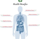 foods-for-gut-bifidobacterium-breve-prob-5.jpg