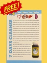 generic-ckls-colon-kidney-liver-spleen-s-5.jpg